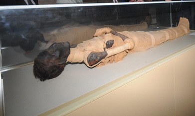 King Amenhotep II's damaged toe has been repaired - Ancient Egypt | Ancient Egypt and Nubia | Scoop.it