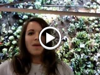 Post and video update by Kelly Ellis in The Google+ Project | The Google+ Project | Scoop.it