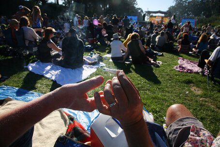 Stigma Fading, Marijuana Common in California | Articles for Research | Scoop.it