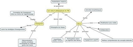 Le TBI pour les nuls | TELT | Scoop.it