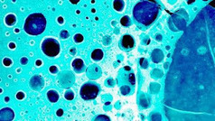 33rd Square: Cancer Researchers Find A New Target For Drug Development | leapmind | Scoop.it