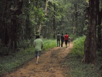 Ariel's Photo Blog: Some Scenes From My Native Land Kerala - "The God's Own Country" - Part II | A Scoop At Ecological Issues | Scoop.it
