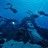 free diving