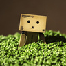 Best of Danbo