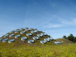 The Naturalist Notebook: California Academy of Sciences, Ask a Naturalist: How Can I Make My Own Living Roof? | Urban Gardening | Scoop.it