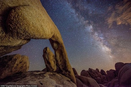 Sublime images of nature - National Geographic photography competition 2012 | The Blog's Revue by OlivierSC | Scoop.it