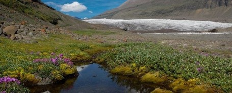 Nature Pictures | Everything from Social Media to F1 to Photography to Anything Interesting. | Scoop.it