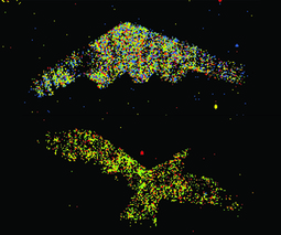 Quantum imaging could be the end of radar jamming | EEDSP | Scoop.it