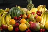 The Hesitant Herbivore, Part 2 | Fork in My Eye | Animals R Us | Scoop.it