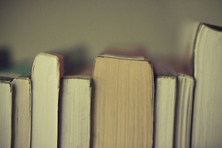 La loi sur la num&eacute;risation des livres indisponibles du XXe si&egrave;cle d&eacute;finitivement adopt&eacute;e | Biblioth&egrave;ques et compagnies | Scoop.it