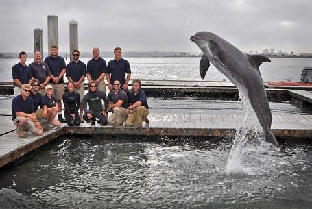 Dolphins persuade Navy trainers to dredge up 130-year-old torpedo | Strange days indeed... | Scoop.it