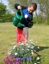 Educating Kids About Wildlife - Wildlife Gardener | 100 Acre Wood | Scoop.it