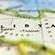 Christians in Libya fear for safety #Libya #GNC #Feb17Crimes | Global politics | Scoop.it