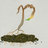 GMOs & FOOD, WATER & SOIL MATTERS