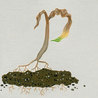 GMOs & FOOD, WATER & SOIL MATTERS