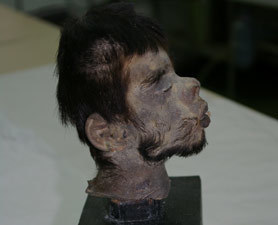 Shrunken Head DNA Proves Horrific Folklore True : Discovery News | Archaeology News | Scoop.it