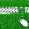 Global Sustainability News