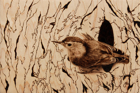 Wood-Burned Illustrations of Animals - My Modern Metropolis | What Surrounds You | Scoop.it