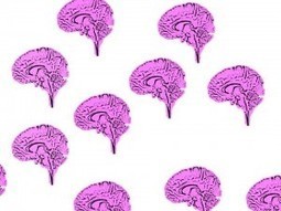 &Uuml;ber 25000 Wissenstransformationsprozesse der kollektiven Intelligenz | B2B-Networking | Scoop.it