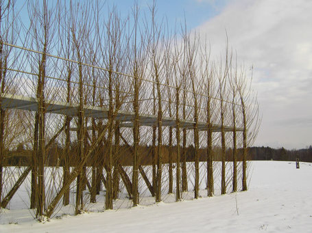 Growth Spurt - The Architect's Newspaper | sustainable architecture | Scoop.it