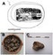 PLoS ONE: Identification of Milk Component in Ancient Food Residue by Proteomics | Archaeobotany and Domestication | Scoop.it