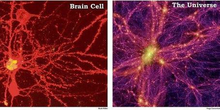 The Power of Networks: Fractals of Complexity (w / video) | omnia mea mecum fero | Scoop.it
