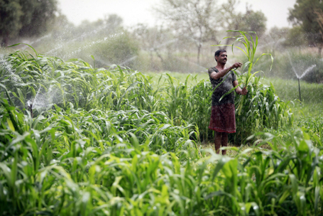 The Water-Food-Energy Nexus | The Energy Collective | Sustain Our Earth | Scoop.it