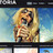 Doloth : Wordpress scoop.it n&deg;2