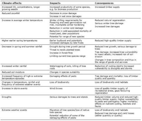 Forest growth (CLIM 034) - Assessment published Nov 2012 &mdash; | Everything is related to everything else | Scoop.it