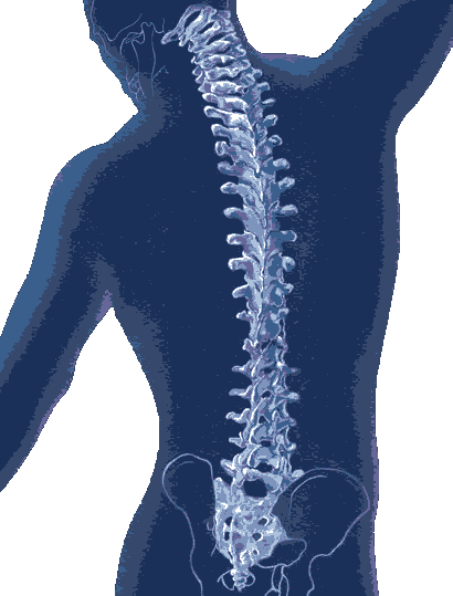 Lethbridge Chiropractic Care for Family, Personal or Business Wellness