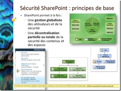 Synth&egrave;se, la s&eacute;curit&eacute; SharePoint en pratique | SharePoint 2010 | Scoop.it