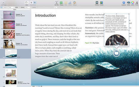 Apple Updates iBooks Author With Support for Pop-Over Widget in ePub Templates - iClarified | Publishing with iBooks Author | Scoop.it