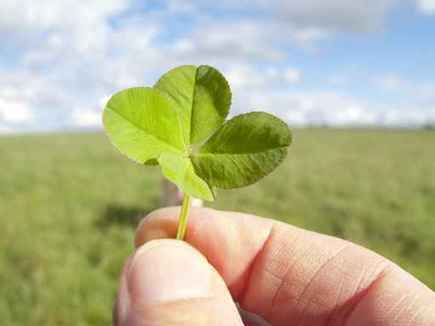 The Power of Small Rituals in Overcoming Life's Obstacles | Good News For A Change | Scoop.it