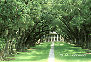 CC Lockwood | Oak Alley Plantation: Things to see! | Scoop.it