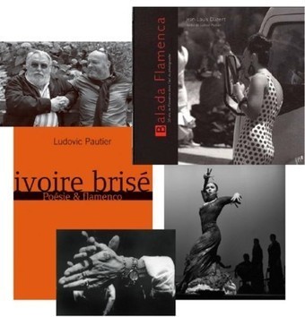 D&eacute;gustation litt&eacute;raire - Jean-Louis Duzert, Ludovic Pautier : Balada flamenca | CEPDIVIN - Les Imaginaires du Vin | Scoop.it