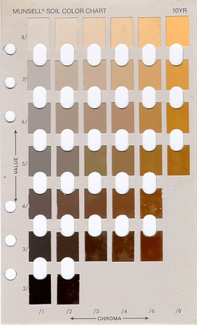 How Do You Like Your Coffee &ldquo;Color&rdquo;? | Munsell Color System | Archaeology Articles and Books | Scoop.it