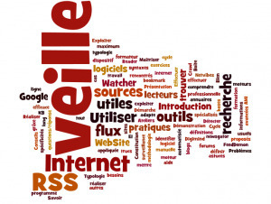 NetPublic &raquo; 52 outils de recherche sur Internet et M&eacute;thodologie de veille informationnelle sur le Web | Outils pour l'eLearning - Tools for e-Learning | Scoop.it