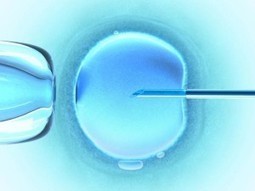 Body Parts for Profit: How Abortion Clinics Supply Stem Cell Research | MN News Hound | Scoop.it