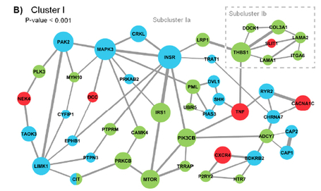 Schizophrenia Gene Networks Found, and a Link to Autism | Columbia University Medical Center | Mom Psych | Scoop.it