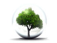 Master &Eacute;cologie-Biodiversit&eacute; parcours DIPHE - Formations et d&eacute;bouch&eacute;s en environnement et d&eacute;veloppement durable | LaRegion.fr | Scoop.it