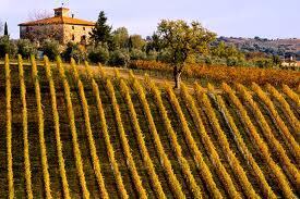 Italy overtakes France in wine exports, New World becomes Old ... | wine exports | Scoop.it