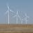 img_Wind Energy and Wildlife