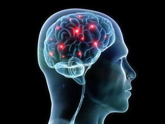 National Geographic show "Brain Games" challenging what you think you know ... - CBS News | INTRODUCTION TO THE SOCIAL SCIENCES DIGITAL TEXTBOOK(PSYCHOLOGY-ECONOMICS-SOCIOLOGY):MIKE BUSARELLO | Scoop.it