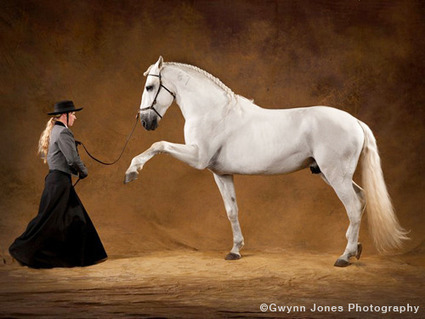 Pen_Llyn_Lusitanos | Autism Articles For UT Masters Study | Scoop.it