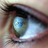 img_Web 2.0 - Blogs,Wikis,Web Sites