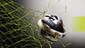01_Nike | Innovation and Creativity | Scoop.it