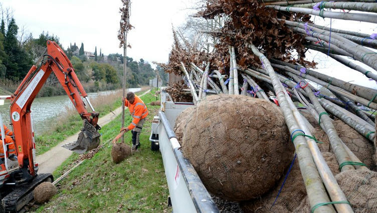 Aude Le Long Du Canal Du Midi La Biodiversit