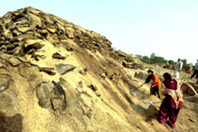 Sale of forgotten wheat could put a dent in India's national debt | The Asian Food Gazette. | Scoop.it