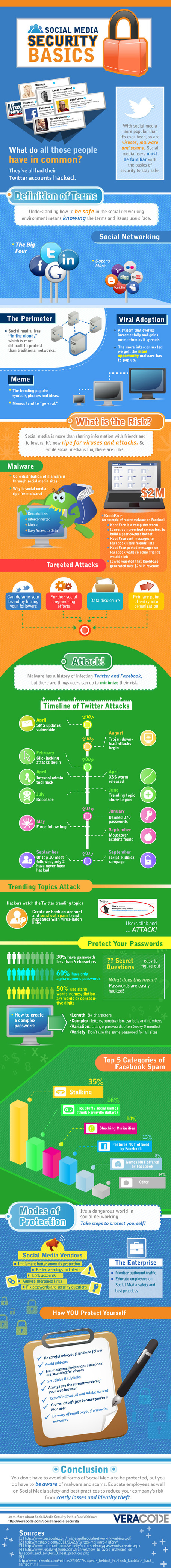 Social Media Security Basics [infographic] /@BerriePelser | WordPress Google SEO and Social Media | Scoop.it