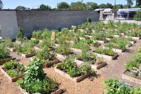 Raised Beds Make Good Garden Sense | Permaculture | Scoop.it